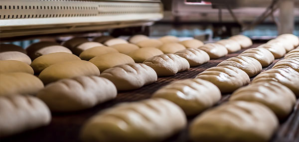 Maquinaria producción pan panadería