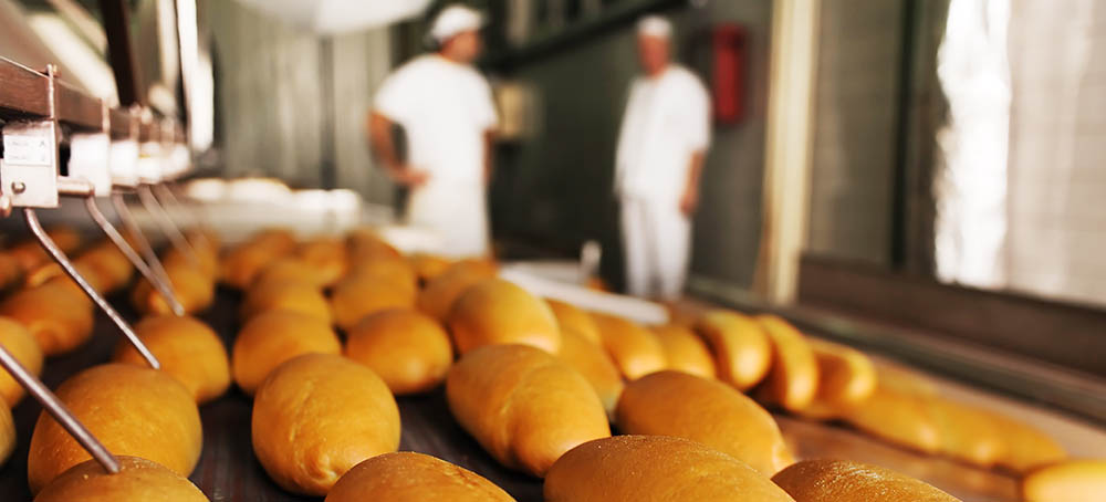 Maquinaria para panadería de calidad