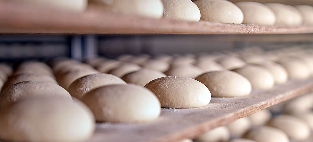 Fermentación controlada, toma el control de la elaboración del pan